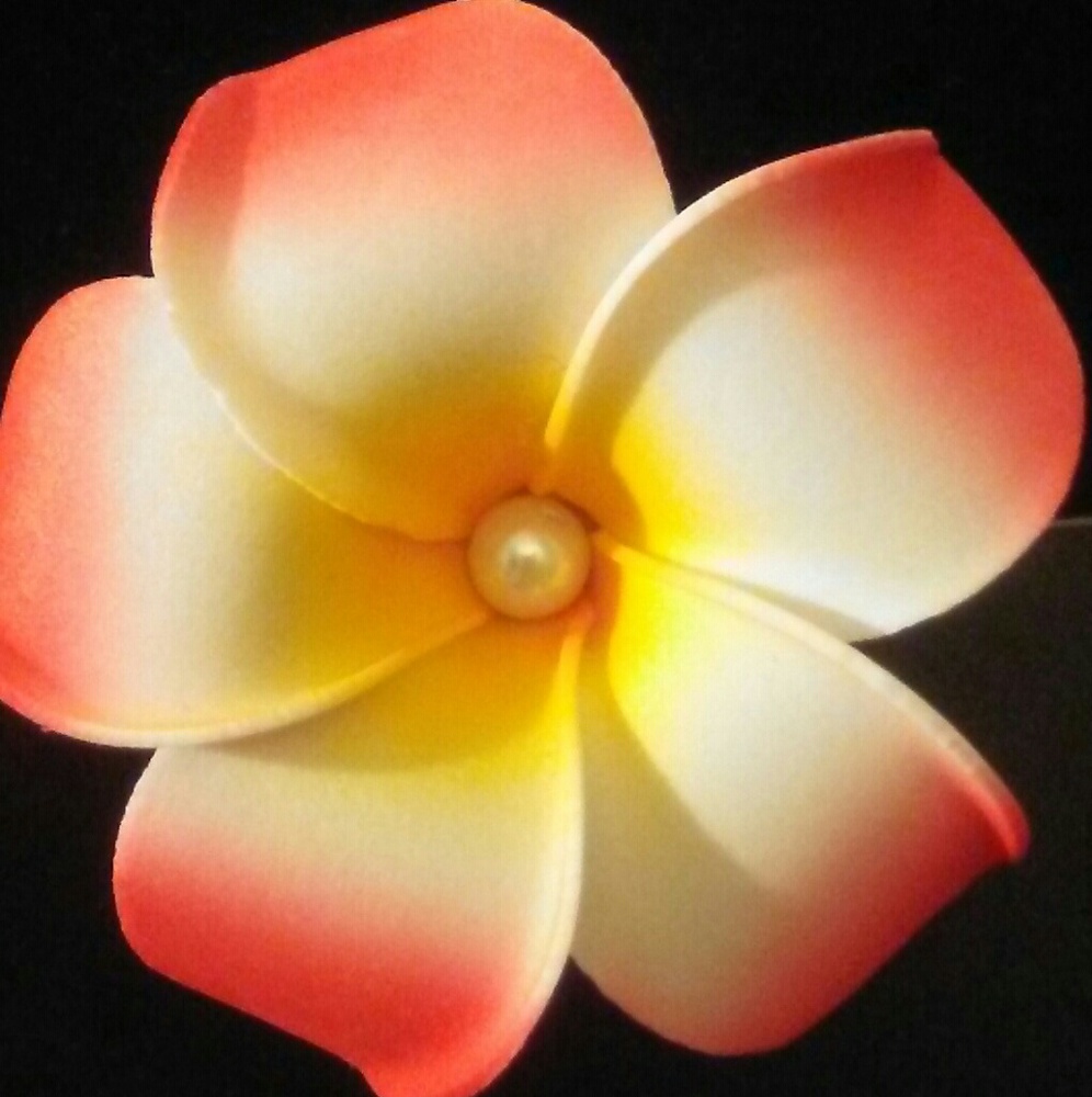 Flowers clips